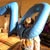 Ian May's avatar