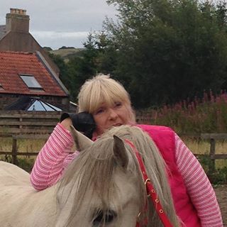 Morag Laverty's avatar
