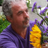 Gheyas Nawlo's avatar