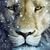 Kelly Stapleton's avatar