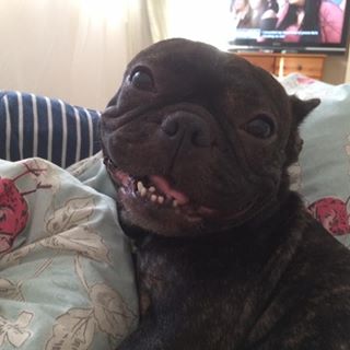 Kieth Hetrich's avatar