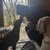 Ian Waller's avatar