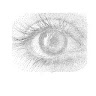 jay p's avatar