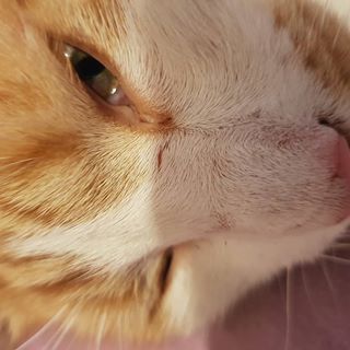 Grzegorz Radajewski's avatar