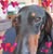 Andrea Joyce's avatar