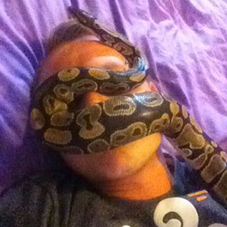 Arron Heeks's avatar