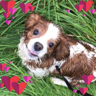 Sarah Clark's avatar