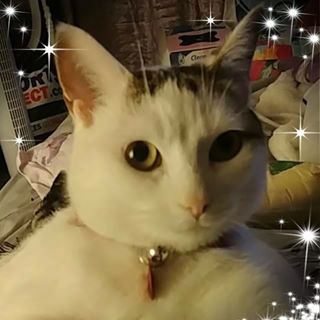 Anne-marie Arber's avatar