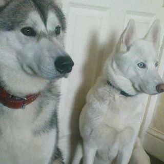 Pat Fitzpatrick's avatar