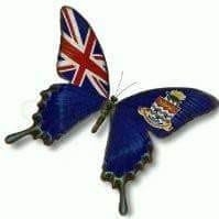 Aisha Wuraola's avatar