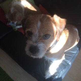 Garry Renoog Pratt's avatar