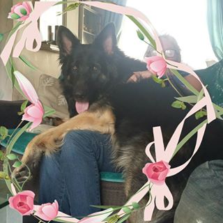 Jacqueline Pearce's avatar