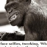John Twining's avatar