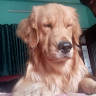 Suprakash Saha's avatar