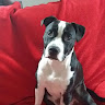 ANDY's avatar