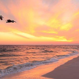 Daryll Colledge's avatar