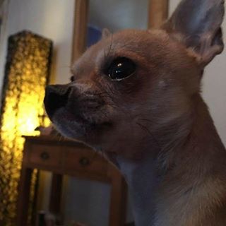 Lisa Williams's avatar