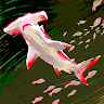 kirubel kassa's avatar