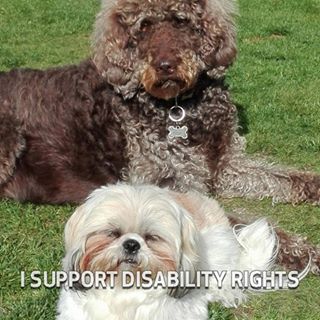 Paul Williamson's avatar