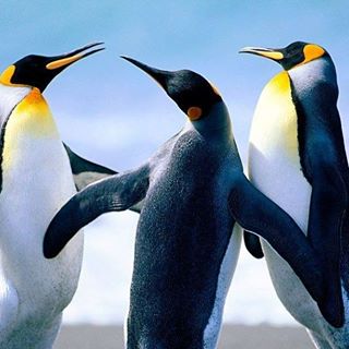 Kay Amparbeng's avatar