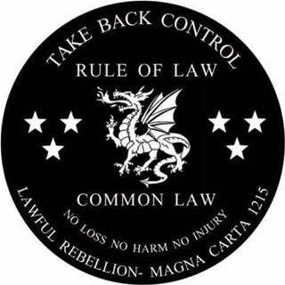 Sonia Merchant's avatar