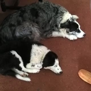 Joan Fenwick's avatar