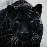 Gundega Vilumsone's avatar