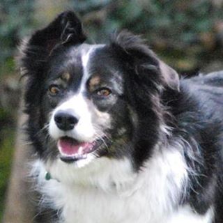 Gethin Llewelyn-jones's avatar