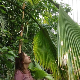 Ioana Baciu's avatar