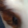 Paula Blaney's avatar