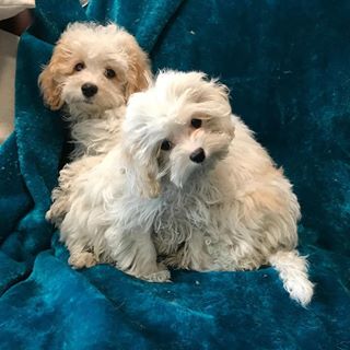 Mike Standing's avatar