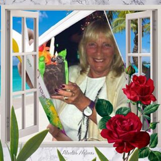 Dorothy Smith's avatar
