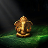 SIVA RAJA's avatar