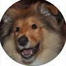 David's avatar