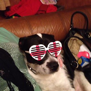 Alison Morey Evans's avatar