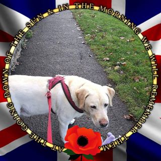 Sheila Sargent's avatar