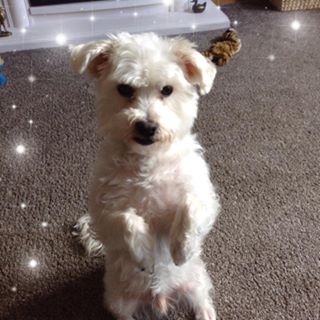 Agnes Hutchison's avatar