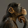 Kev Jones's avatar