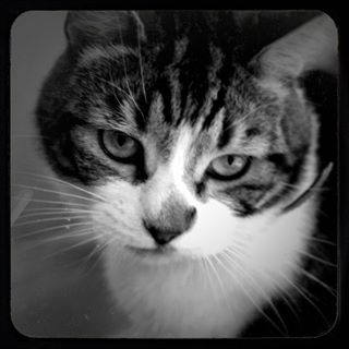 Nicky Granger's avatar