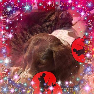 Sharon Chandler's avatar