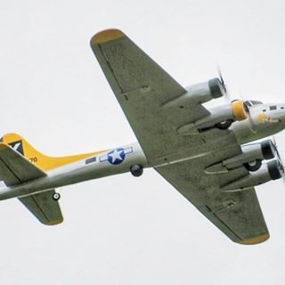Murray Ward's avatar