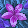 Charlotte Leadbetter's avatar