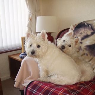 Christina Mccracken's avatar