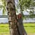 Galina Bebre's avatar