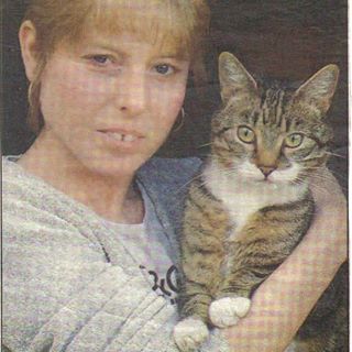 Jeanette Harrison's avatar