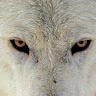 Jurijs Knazevs's avatar