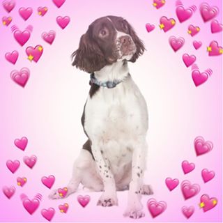 Jen Reid's avatar