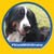 Sally Christenson's avatar