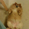 Sandra K's avatar