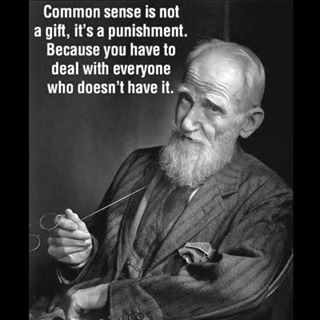 Dawn Aldous's avatar